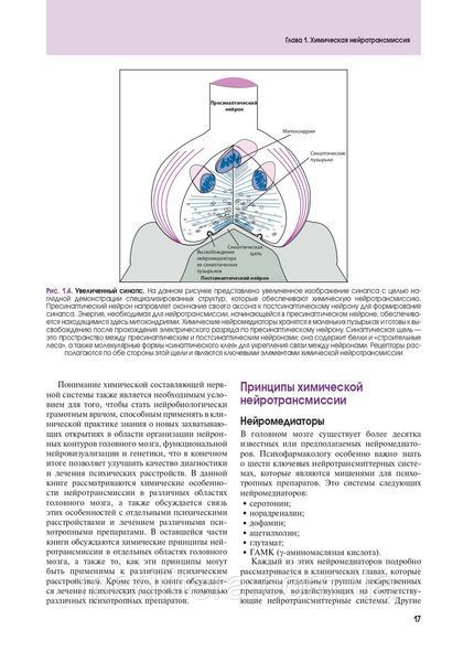 Основы психофармакологии. Теория и практика. Стал С.М. 2021 год 12812 фото