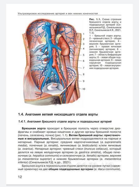 Ультразвукове дослідження при захворюваны артерій і вен нижніх кінцівок Носенко Дадова 88766666 фото
