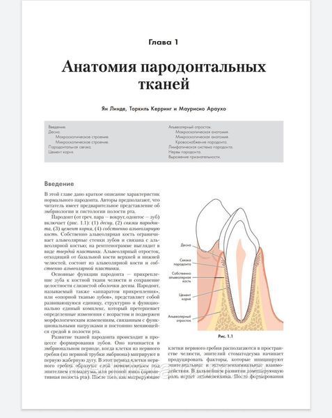 Ланг Н.П. Клиническая пародонтология и дентальная имплантация : в 2-х т. Том 1 006с фото