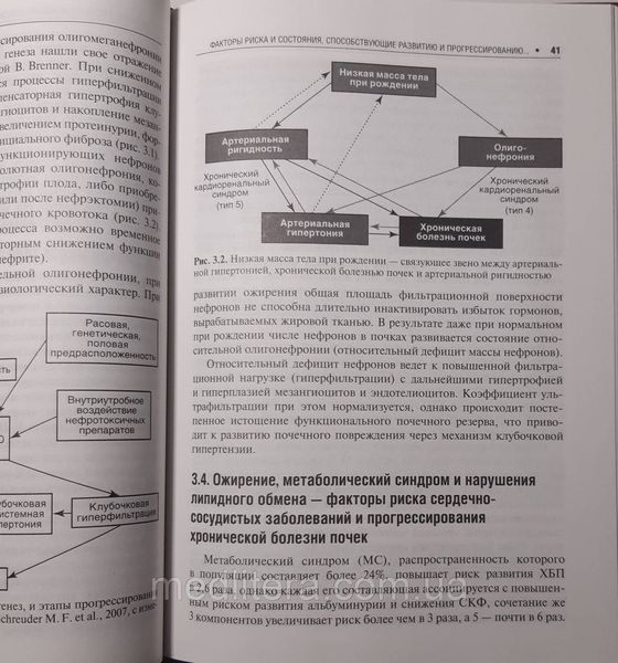 Кобалава Д.Ж., Виллевальде, Моисеев С.В. Основы кардиоренальной медицины 446178298 фото