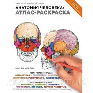 Лоуренс М. Елсон, Вінн Кепіт Анатомія людини: атлас-розмальовка 2021 рік 645443а фото