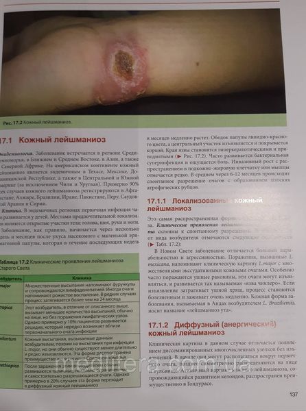 Адаскевич Дерматовенерология Руководство для врачей 2019 год 1424 фото