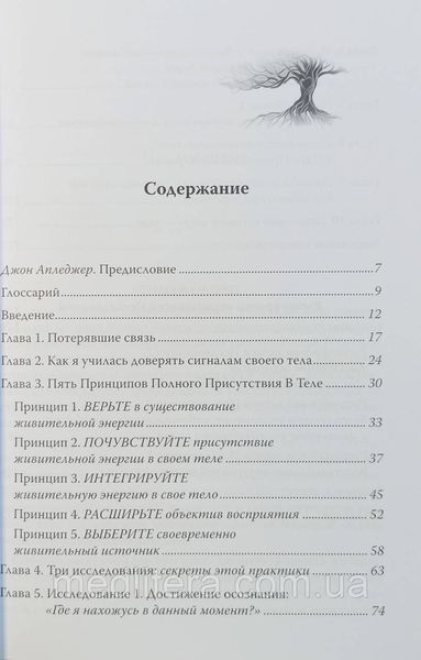Полное присутствие в теле. Сюзанна Скерлок-Дюрана 1733804483 фото