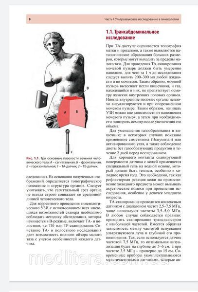 Руководство по ультразвуковой диагностике в акушерстве и гинекологии - Озерская И.А. 2021 год 76н4у фото