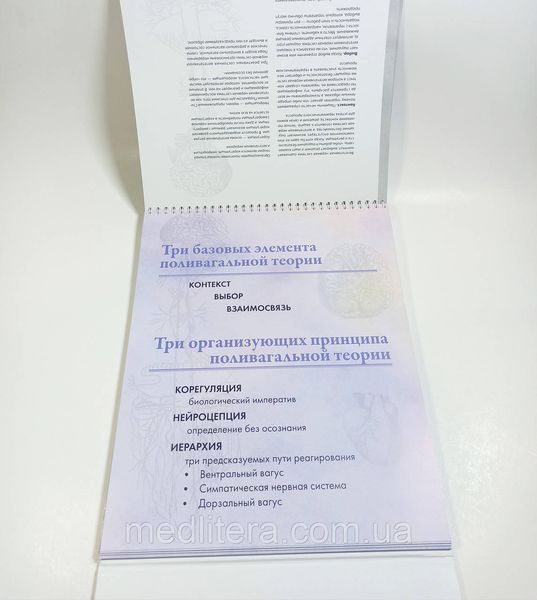 Мініфліпчарт ПОЛИВАГАЛЬНІ НОТАТКИ Деб Дана Автор Полівагальна теорія в психотерапії пружинка фото