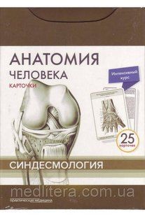 Сапіна, Анатомія людини: КАРТКИ (25шт). Синдесмология. Російські та латинські назви анатомічних структур 99888 фото