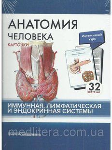 Сапіна Анатомія людини: КАРТКИ (32шт). Імунна, лімфатична і ендокринна системи 2017 рік 664333 фото