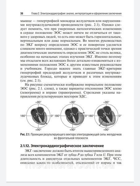 Электрокардиография. Волкова Н.И., Джериева И.С 2022 год 8876665555 фото
