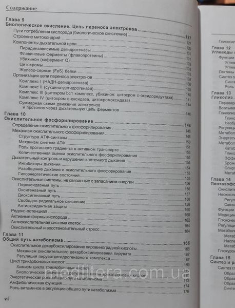 Чиркин, А. А. Биохимия : учеб. пособие для студентов и магистрантов высш. учеб. заведений по биол. и мед. спец 1661408603 фото
