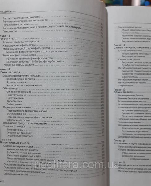 Чиркин, А. А. Биохимия : учеб. пособие для студентов и магистрантов высш. учеб. заведений по биол. и мед. спец 1661408603 фото