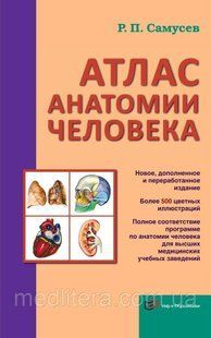 Самусєв Р. П., Липченко В. Я. Атлас анатомії людини 11713 фото