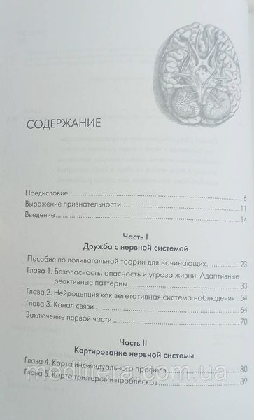 Полімагальна теорія в психотерапії. Деб Дана. 1733853970 фото