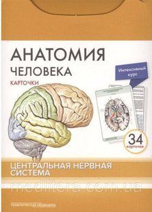 Сапіна, Анатомія людини: КАРТКИ (34 шт). Центральна нервова система 2018 рік 86543а фото