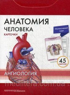 Сапіна, Анатомія людини: КАРТКИ (45шт). Ангіологія. Російські та латинські назви анатомічних структур 87654а фото