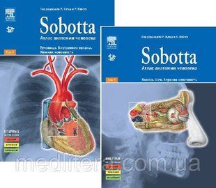 Атлас анатомії людини. Sobotta, Соботт (в 2х томах) 12124 фото