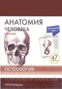 Сапіна, Анатомія людини: КАРТКИ (47шт). Остеология. Російські та латинські назви анатомічних структур 6543а фото