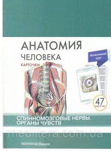 Сапіна, Анатомія людини: КАРТКИ (47шт). Спинномозкові нерви. Органи почуттів 321116а фото