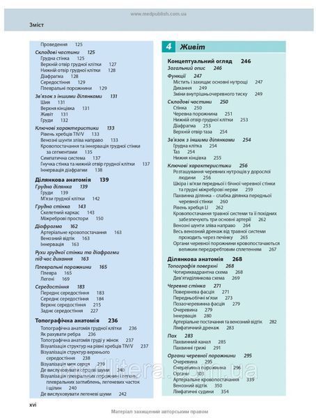 Анатомія за Греєм для студентів: 5-е видання / Річард Л. Дрейк, А. Вейн Фогль, Адам В.М. Мітчелл 65111ук фото