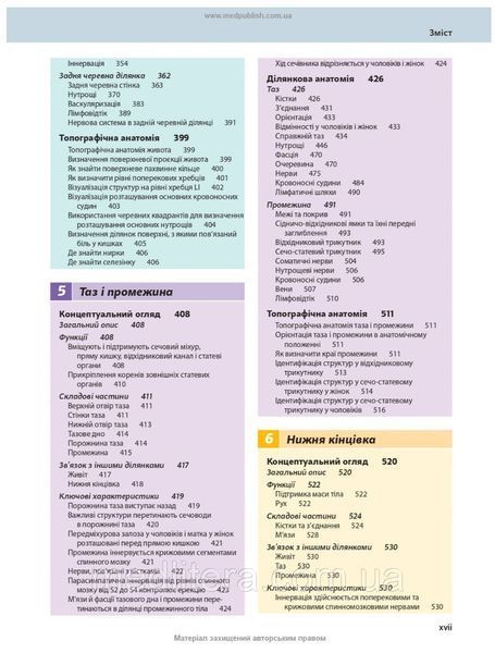 Анатомія за Греєм для студентів: 5-е видання / Річард Л. Дрейк, А. Вейн Фогль, Адам В.М. Мітчелл 65111ук фото