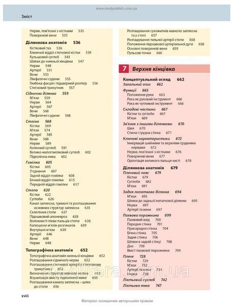 Анатомія за Греєм для студентів: 5-е видання / Річард Л. Дрейк, А. Вейн Фогль, Адам В.М. Мітчелл 65111ук фото