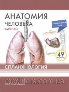 Сапіна, Анатомія людини: КАРТКИ (49шт). Спланхология. Російські та латинські назви анатомічних структур 9887 фото