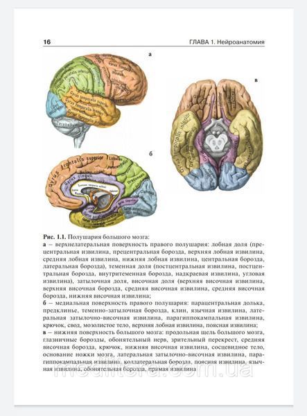 Петрухін А. С. Дитяча неврологія. Підручник у 2-х томах. 8 фото