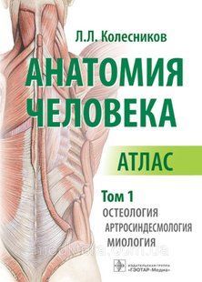 Колесников Л.Л.Анатомия человека. Атлас в 3-х томах. Том 1. Остеология, артросиндесмология, миология 98870 фото