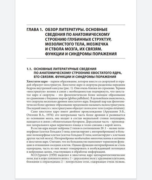 Буклина С.Б. Нарушения высших психических функций при поражении глубинных и стволовых структур мозга 44 фото