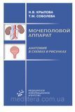 Крилова Н.В. МОЧОЛІВИЙ АППАРАТ. АНАТОМІЯ В СХЕМАХ І РИСУНКАХ 43838 фото