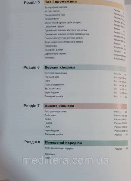 Неттер Атлас анатомії людини (4-е видання) (м'яка палітурка) українсько-латинське 87665454 фото