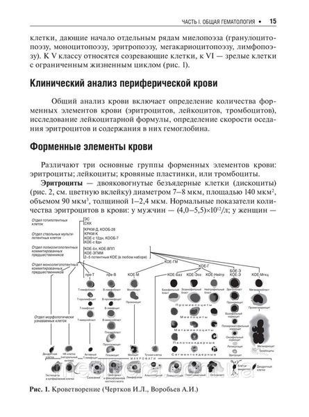 Давикин І.Л., Куртів. Хвороби крові в амбулаторній практиці 2020г 887655444 фото