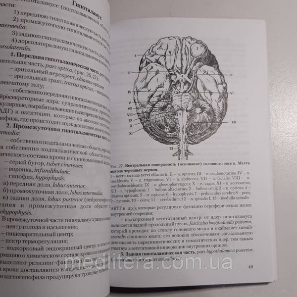 Гайворонський І.В., Ничипорук Г.І. Анатомія центральної нервової системи 2021 р. 0ю фото