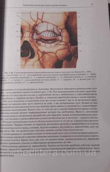 Сомов Е.Е. Клиническая офтальмология Руководство по офтальмологии 11442 фото