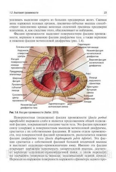 НЕХИРУРГИЧЕСКИЙ ДИЗАЙН ПРОМЕЖНОСТИ
ВИКТОР ЕВСЕЕВИЧ РАДЗИНСКИЙ 1647673826 фото