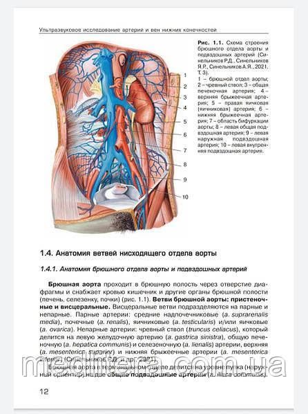 Носенко, Дадова Ультразвуковое исследование артерий и вен верхних конечностей и нижних конечностей 991 комплект фото