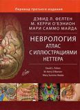 Неврология Атлас с иллюстрациями Неттера Фелтен Дэвид Учебник по неврологии 996000л фото