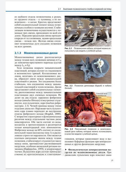 Брётц Дорис
ДИАГНОСТИКА И ЛЕЧЕНИЕ ПОРАЖЕНИЙ МЕЖПОЗВОНКОВЫХ ДИСКОВ. ФИЗИЧЕСКАЯ ТЕРАПИЯ В НЕВРОЛОГИИ
2021 г. 667 фото
