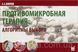 Вялов С.С. Противомикробная терапия: алгоритмы выбора 12090 фото 1