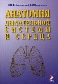 Гайворонський В. В. Анатомія дихальної системи і серця 2021р 9766 фото