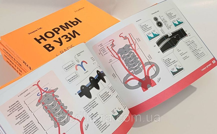 Умаров Т. М. Норми в УЗД Атлас, протоколи RADS 11110000 фото