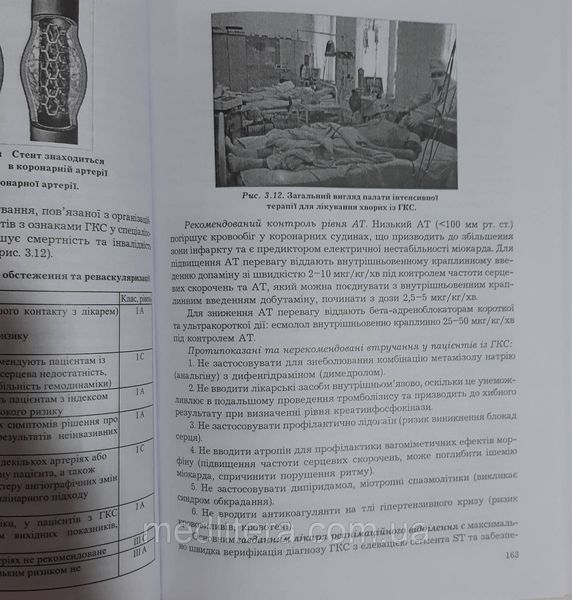 Шведа Екстрена та невідкладна медична допомога 2023 рік Посібник з медичної допомоги 87676544 фото