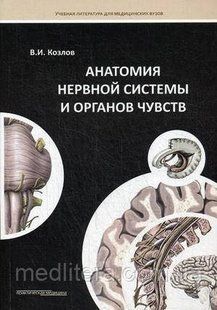 Козлов Анатомия нервной системы и органов чувств. Учебное пособие 554417113 фото
